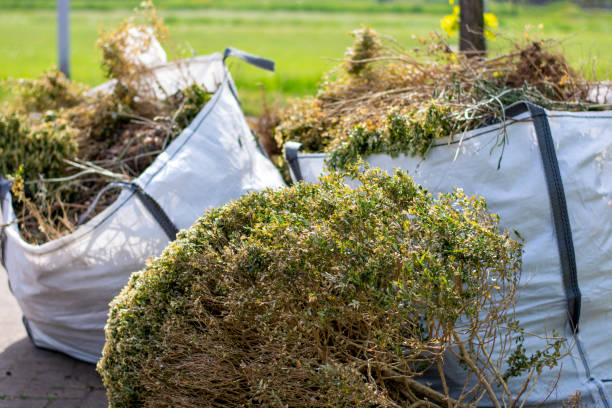 Best Same-Day Junk Removal  in Bingham Farms, MI